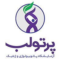 پشتیبانی شبکه و طراحی سایت